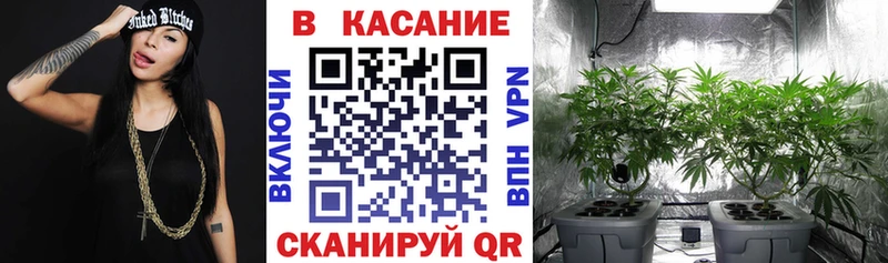 Купить закладку Бутират  Codein  Меф  ГАШ  Конопля  Чапаевск