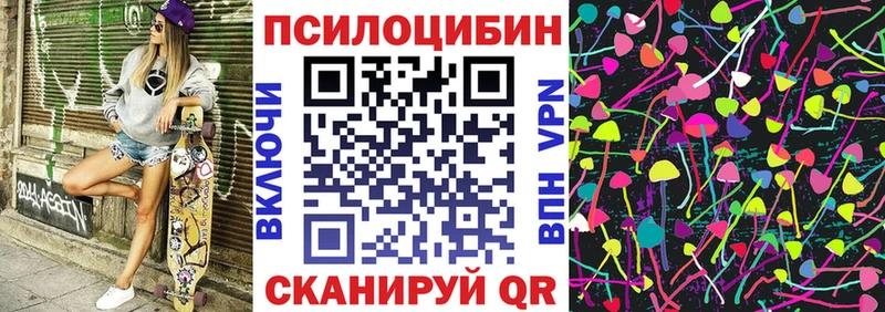 Купить  Чапаевск  Галлюциногенные грибы Psilocybe 